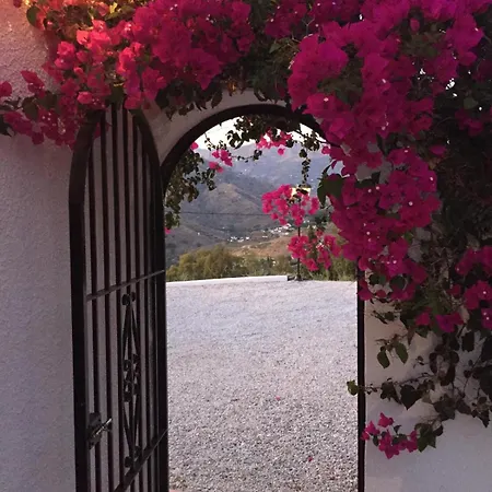 Angelita Torrox